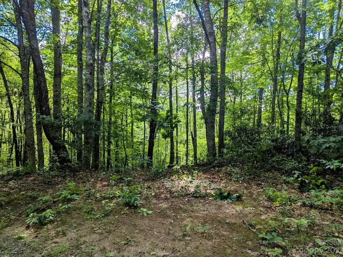Lot 279 Cabin Flats Rd, Balsam, NC 28707 - MLS 4085906 for Sale