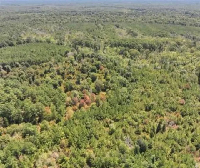 1130 County Rd 1130, Newton, TX 75966 for Sale