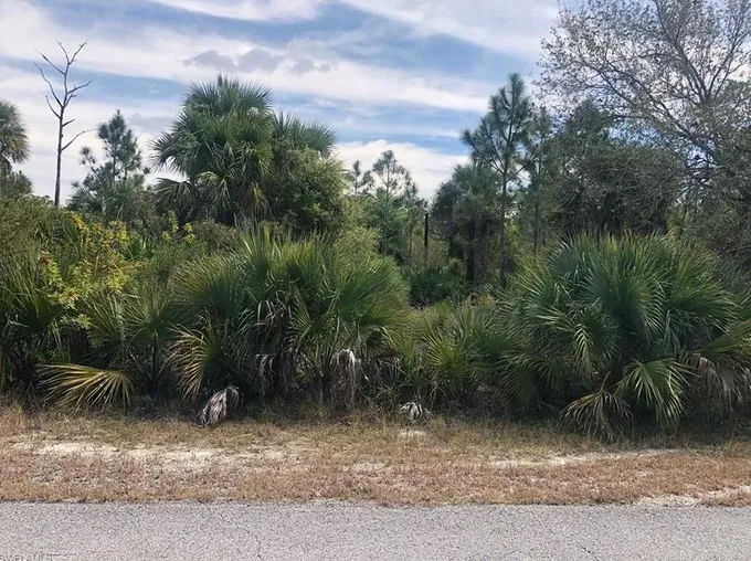 720 Maple Ave N, Lehigh Acres, FL 33972 - MLS 224013696 for Sale