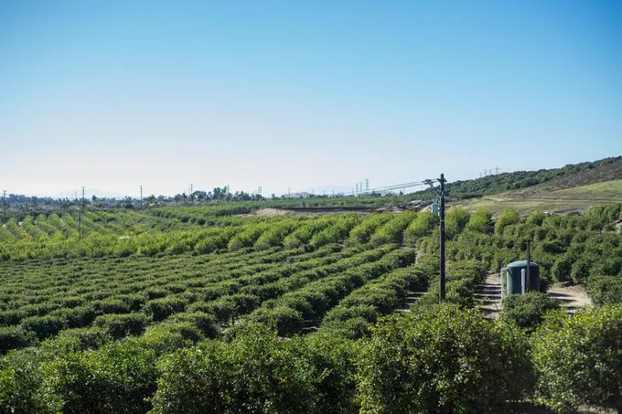 0 Foothill Road, Ventura, CA 93004 for Sale