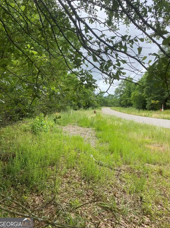 0 River Birch Ln, Colbert, GA 30628 - MLS 20165383 for Sale