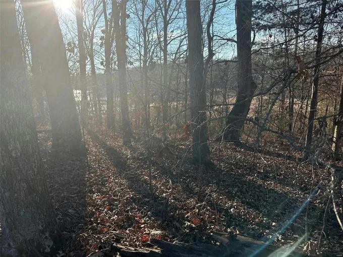 14 WAGON CREEK LOOP, Creal Springs, IL 62922 Land For Sale  MLS# 23064144