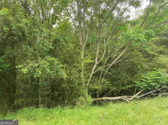 0 River Birch Ln, Colbert, GA 30628 - MLS 20165385 for Sale