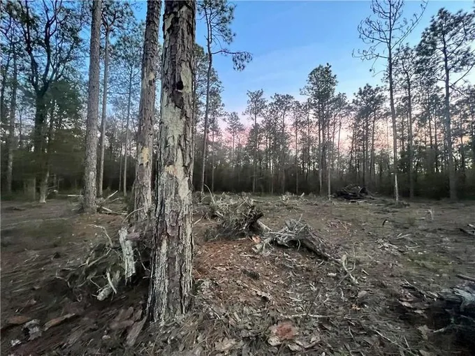 A GRIMSLEY ROAD, Satsuma, AL 36572 Land For Sale  MLS# 7318613