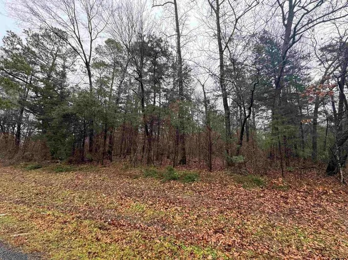 00 Fm 856, Troup, TX 75789 - MLS 24001063 for Sale