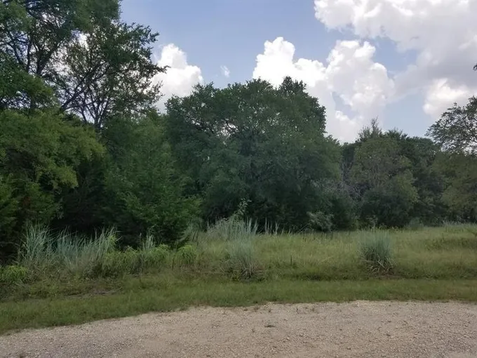 Whitney, Hill County, TX Undeveloped Land, Homesites for sale Property ID: 418540225