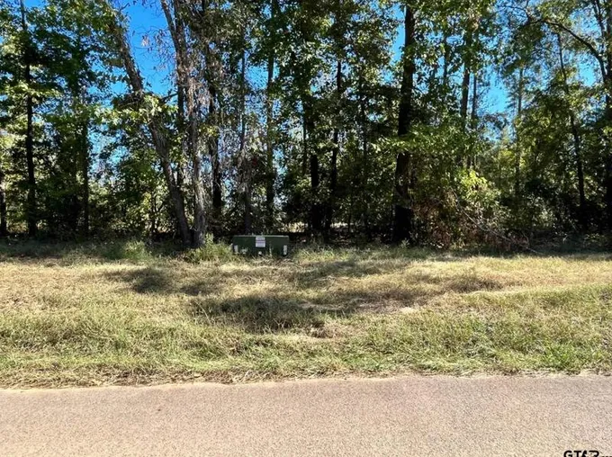 Cr 2123 (Lot 11), Whitehouse, TX 75791 - MLS 23014932 for Sale