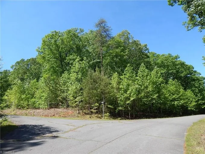 Jordon Ln #17, Walnut Cove, NC 27052  MLS# 1069812 for Sale