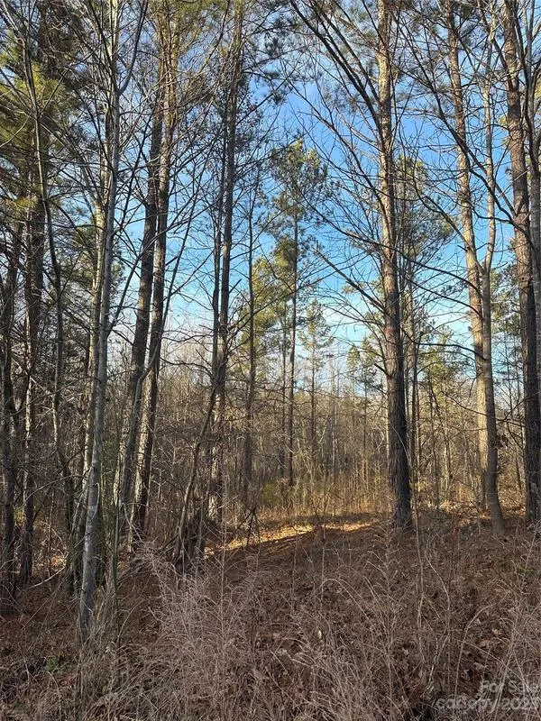5135 Star Magnolia Court, Clover, SC 29710 for Sale