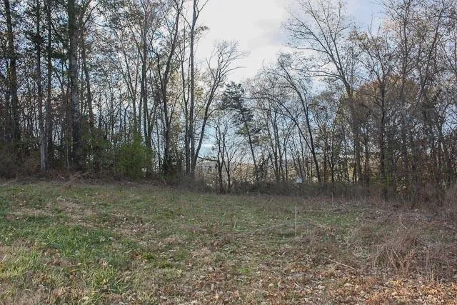 7946 Mc Crory Lane, Nashville, TN 37221 for Sale