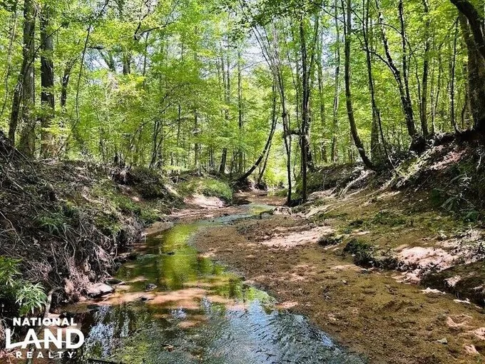 Talbotton, Talbot County, GA Recreational Property, Timberland Property, Hunting Property for sale Property ID: 418712189