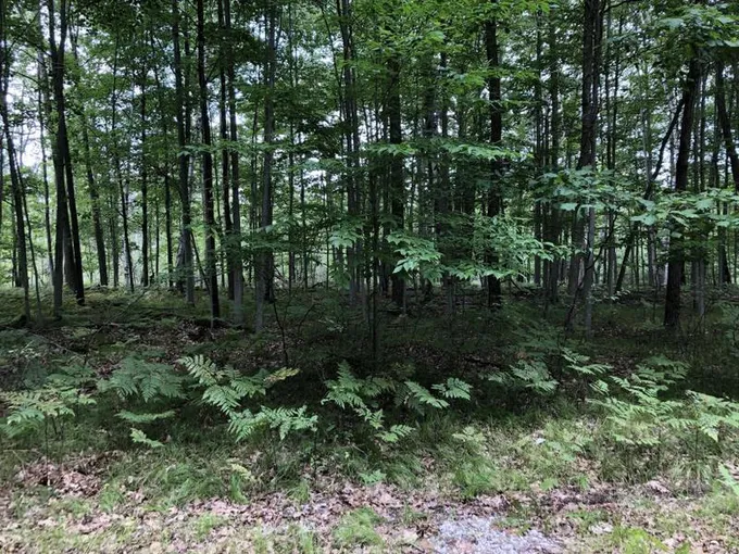 Canadian Lakes, Mecosta County, MI Homesites for sale Property ID: 418933247