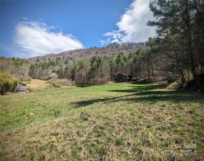 Marshall, Madison County, NC Farms and Ranches for sale Property ID: 418612784