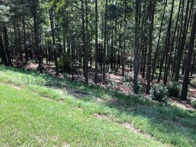 North Augusta, Edgefield County, SC Undeveloped Land, Homesites for sale Property ID: 418808776