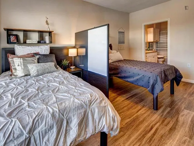 Marvellous double bedroom near University of Texas at Austin for Rent