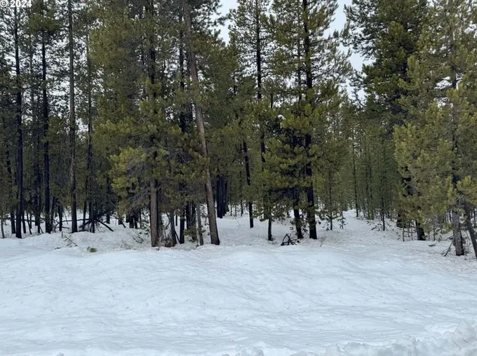 Two Rivers Rd #TL-9, Crescent Lake, OR 97733 - MLS 24467482 for Sale