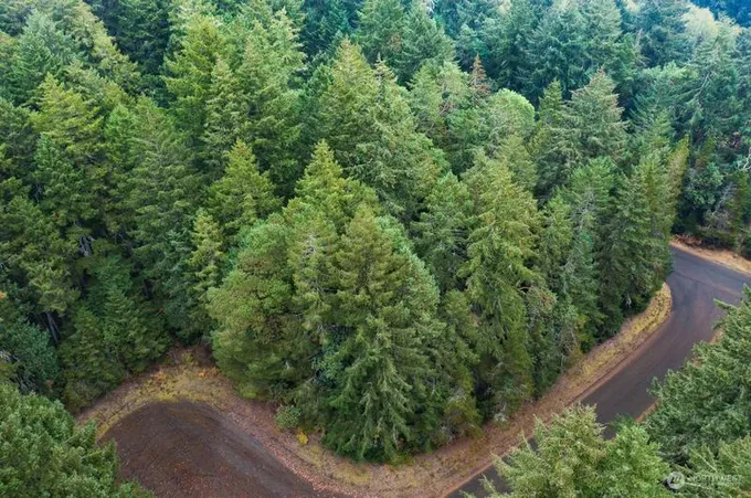 11905 Wapato Rd, Anderson Island, WA 98303 - MLS 2188917 for Sale