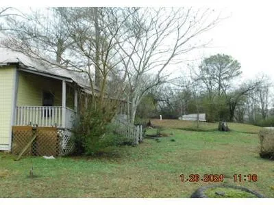 County Rd 203 for Sale
