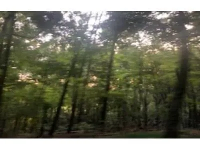 Goodson Rd for Sale