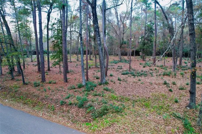 12089 Oak Leaf Rd, Conroe, TX 77303 for Sale