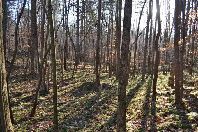 Henry, Franklin County, VA Recreational Property, Timberland Property for sale Property ID: 418686580