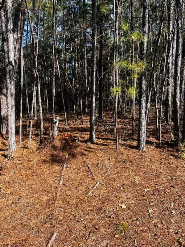 Mc Cormick, Mc Cormick County, SC Undeveloped Land, Homesites for sale Property ID: 418512103