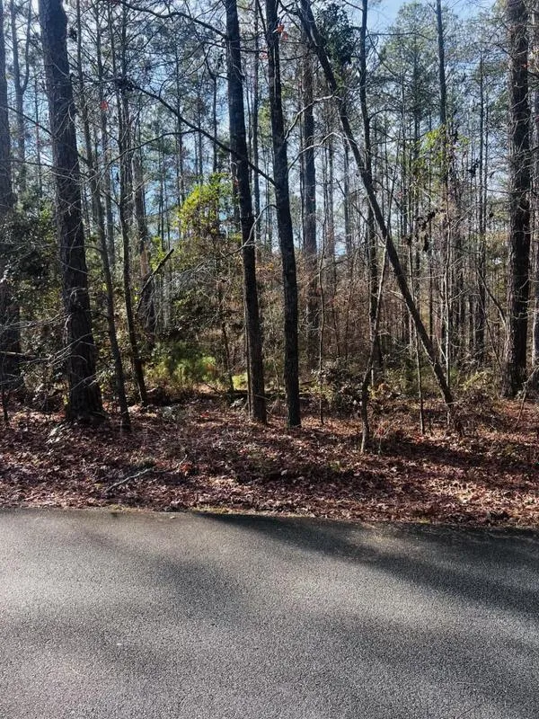 Mc Cormick, Mc Cormick County, SC Undeveloped Land, Lakefront Property, Waterfront Property, Homesites for sale Property ID: