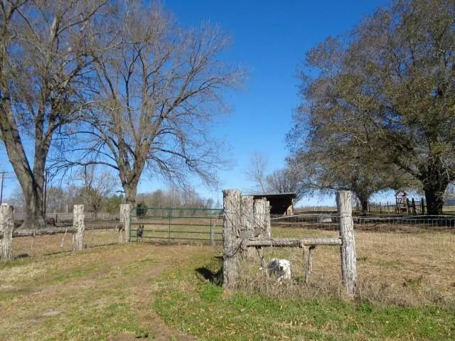 TBD STATE 11 HIGHWAY, Winnsboro, TX 75494 Land For Sale  MLS# 20529505