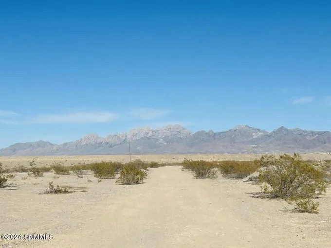 4349 RC GORMAN LOOP, Las Cruces, NM 88011 Land For Sale  MLS# 2400427