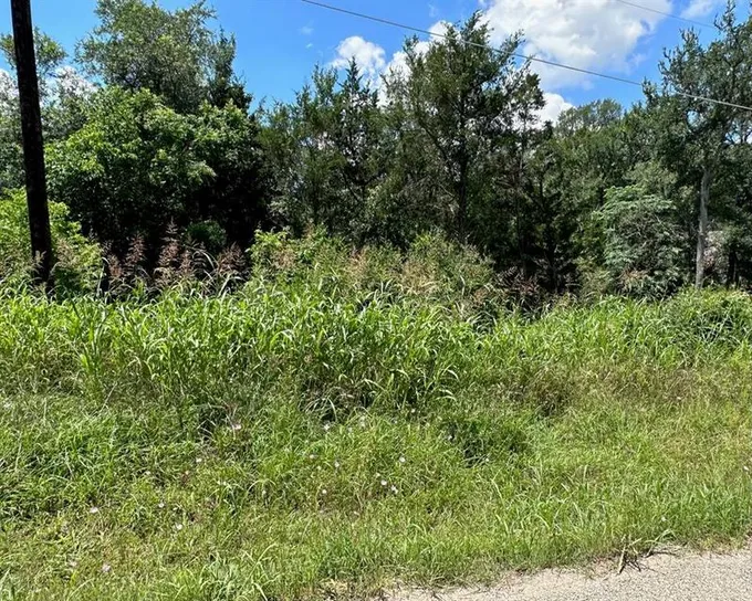 195 Lamaloa Ln, Bastrop, TX 78602 for Sale