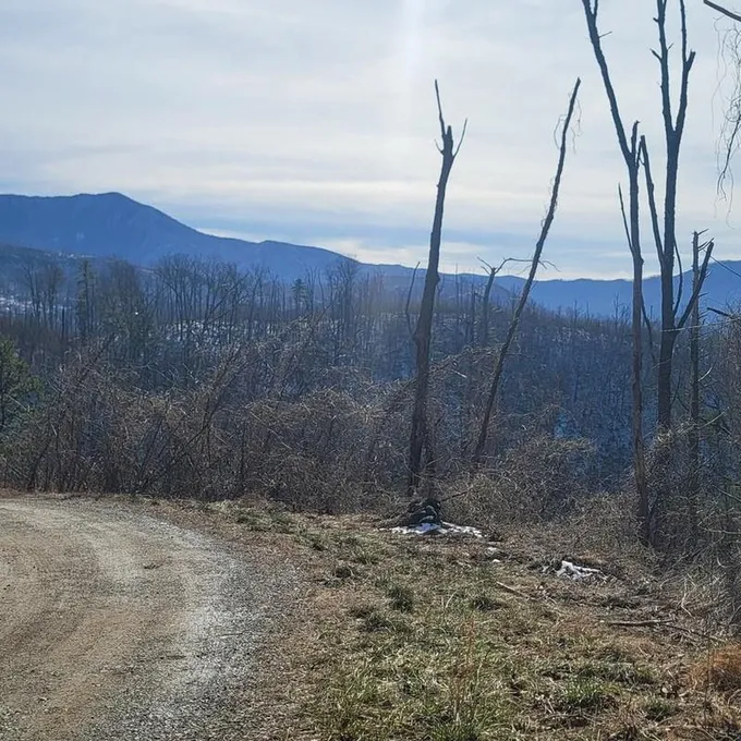 Gatlinburg, Sevier County, TN Undeveloped Land, Homesites for sale Property ID: 418808900
