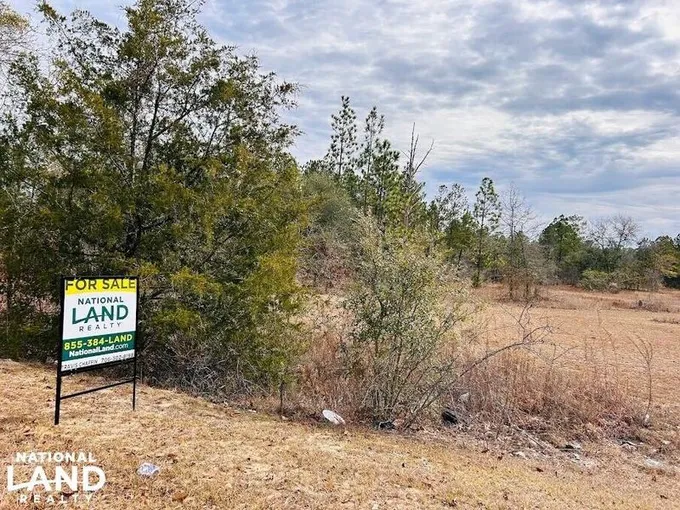 Butler, Taylor County, GA for sale Property ID: 418858592