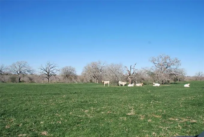TBD COUNTY RD 401, Flatonia, TX 78941 Farm For Sale  MLS# 78388753