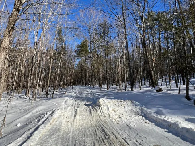 MAP 38 LOT 5 LOOKOUT AVENUE, Dover-Foxcroft, ME 04426 Land For Sale  MLS# 1582045