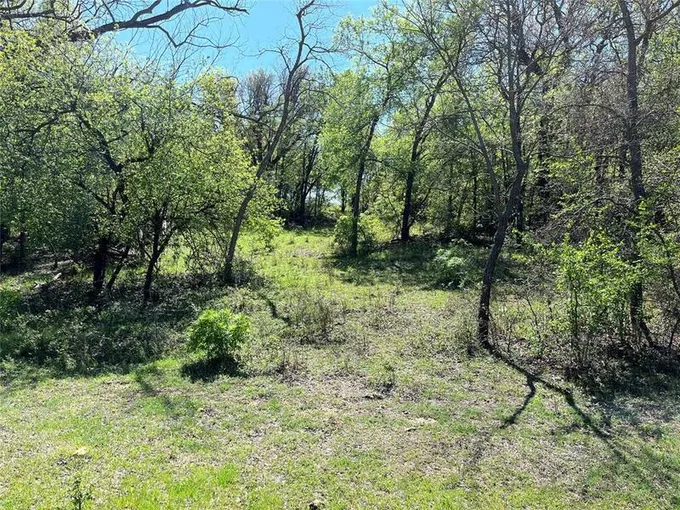 Tract #9 CR 323, Hasse, TX 76442 for Sale