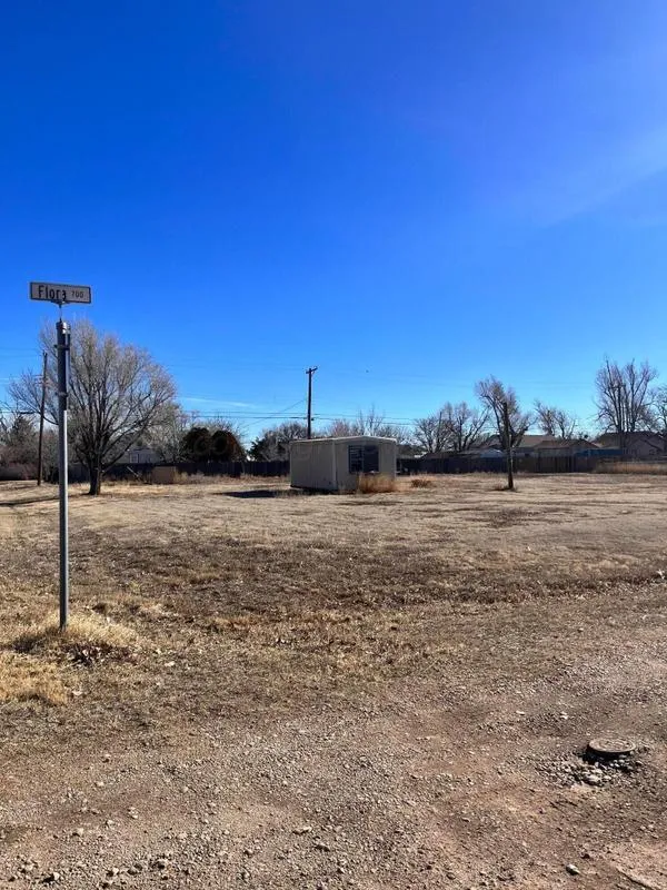 Panhandle, Carson County, TX Undeveloped Land, Homesites for sale Property ID: 418772891