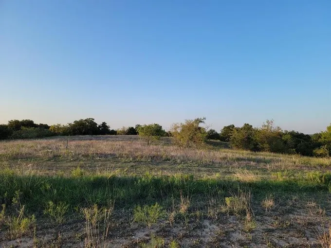 163 Pecan Grove Dr, Boyd, TX 76023 for Sale