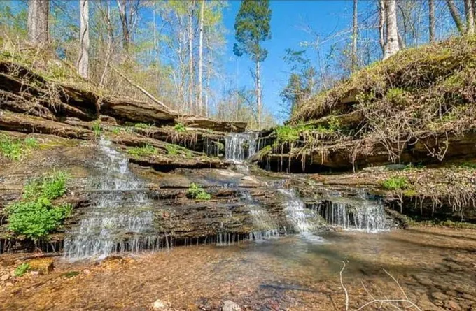 1714 Dave Risner Road, Ethridge, TN 38456 for Sale
