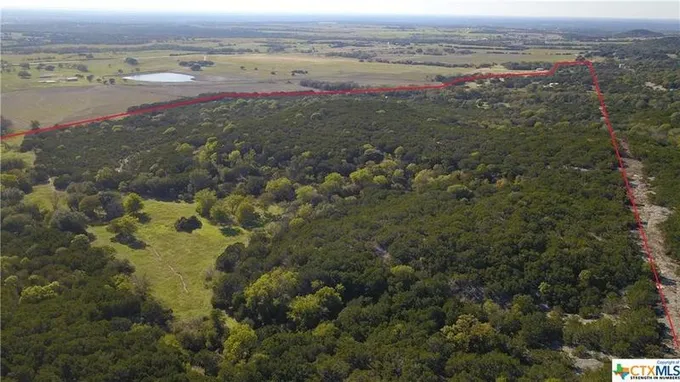 Tract 4 FM 2955, Jonesboro, TX 76528 for Sale