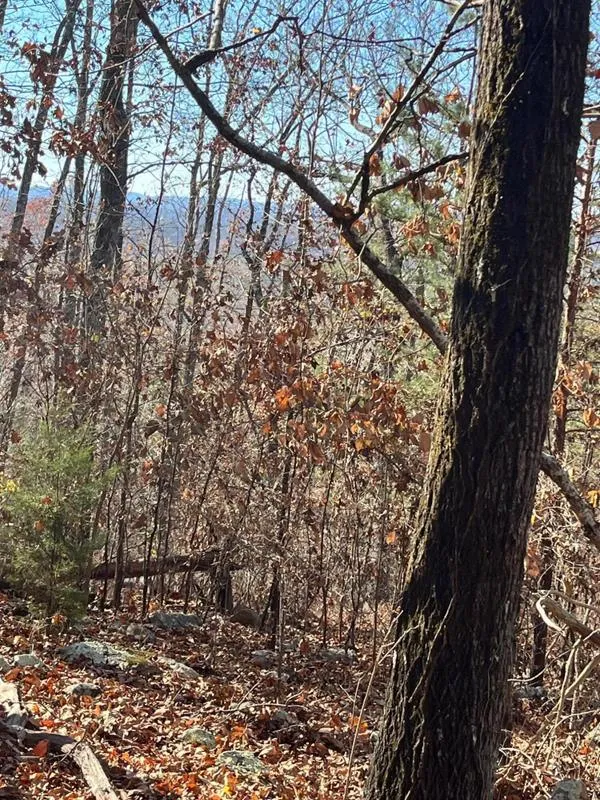 0 Battleline Drive, Rocky Face, GA 30740 for Sale