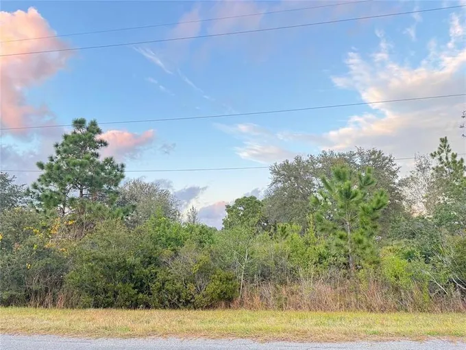 0 Robertson Street, Orlando, FL 32833 for Sale