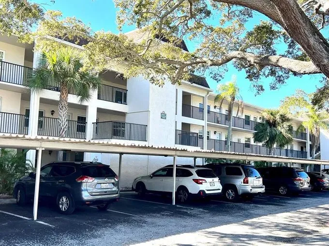 871 New York Ave #206, Dunedin, FL 34698 - MLS T3503075 for Rent
