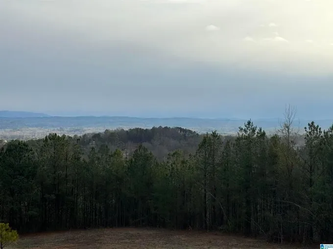 Oxford, Calhoun County, AL Homesites for sale Property ID: 418708588