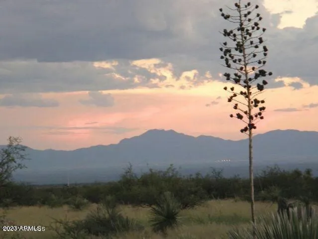 LOT 48 S DE NIZA ROAD # LOT 48, Saint David, AZ 85630 Land For Sale  MLS# 6639476 for Rent