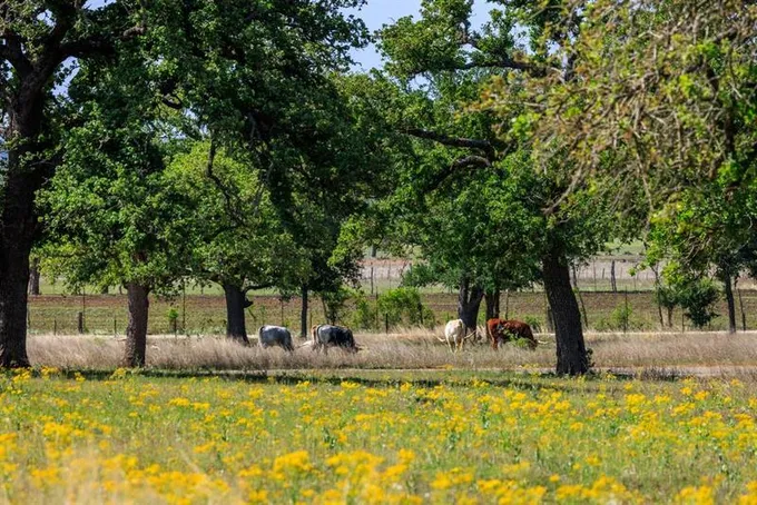 Lot 23 Spencer Ct, Fredericksburg, TX 78624 for Sale