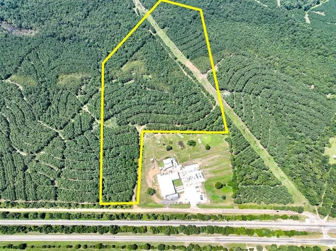 2 County Road 9070, Avinger, TX 75630 for Sale