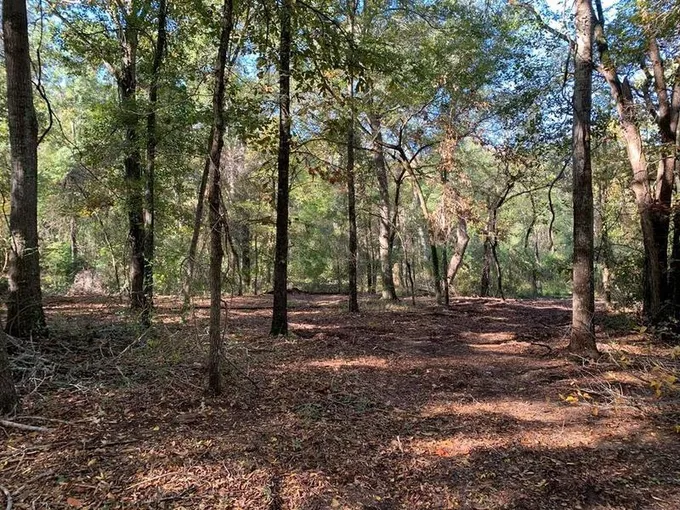 TBD CR 1500, ATHENS, TX 75751 for Sale