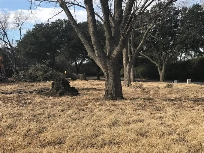 Dallas, Dallas County, TX Undeveloped Land, Homesites for sale Property ID: 418802775