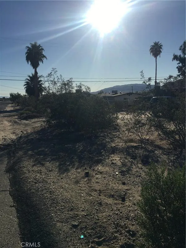 0 Lupine Avenue, Twentynine Palms, CA 92277 for Sale