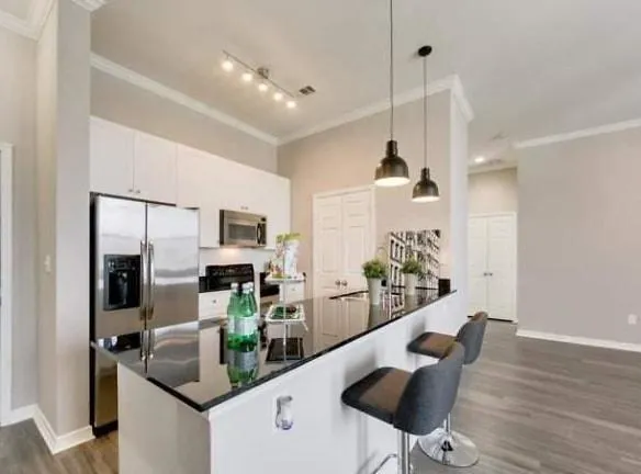 3324 Mc Kinney Ave unit 223 - Dallas, TX 75204 - Home For Rent